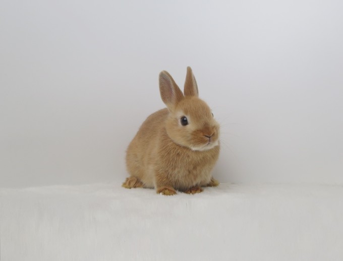 IMG_4932 - コピー