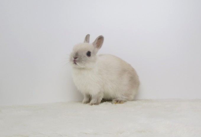 IMG_5067 - コピー