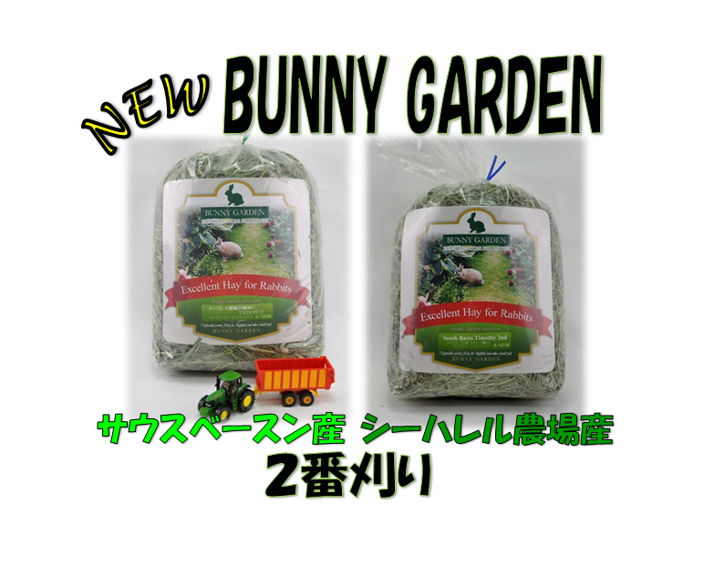 バニーガーデン チモシー NEW - 九州うさぎCLUB | 福岡市東区の