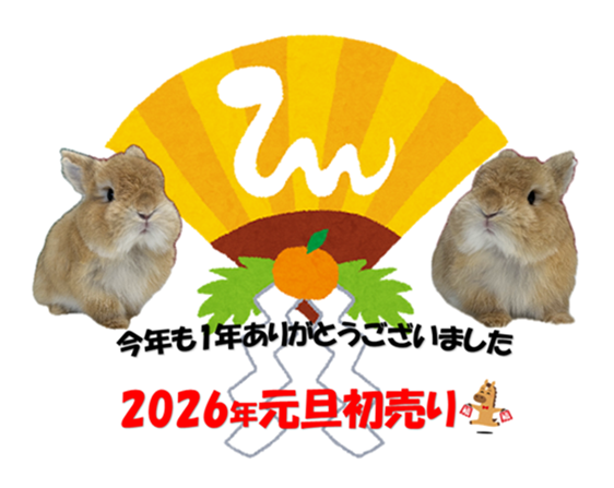 HOME - 九州うさぎCLUB | 福岡市東区のネザーランドドワーフ＆ホーラン